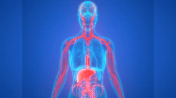 It can help fight autoimmune disease