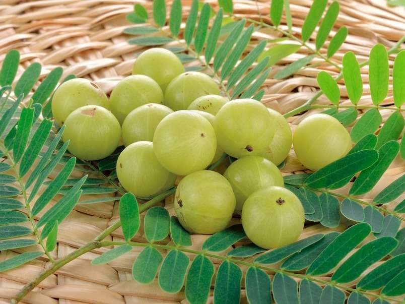 Weight Loss Here S Why You Must Consume Amla Juice To Get Rid Of The Belly Fat The Times Of India weight loss here s why you must