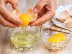 Egg