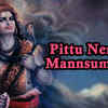 Article image for: Tamil Bhakti Song 'Pittu Nerpada Mannsumantha' Sung By P. <i class="tbold">Swaminathan</i>