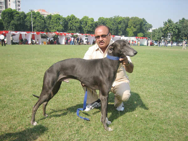 Irshad