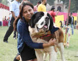 A dog’s day all the way in Lucknow