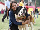 A dog’s day all the way in Lucknow