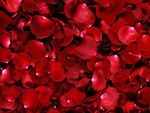 Rose water may treat blemishes