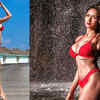 Article image for: <i class="tbold">krissann barretto</i> sets the temperature soaring with her bikini pictures on the social media