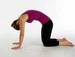 Cat and Cow Pose (Marjaryasana and Bitilasana)