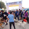 Article image for: When pooches turned up for a Sunday run