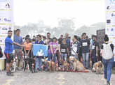 ​When pooches turned up for a run with their parents​