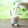 ​Vegetarian sources of Vitamin B12