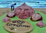 Beyond the common man