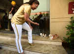 Rani Mukerji's play date with the cats