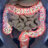 Role of bacteria in the gut