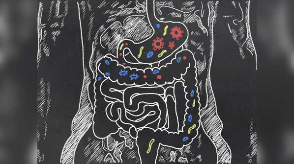 There are trillions of bacteria in our body