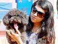 Dog Show at Hebbal