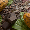 No chocolate without flies