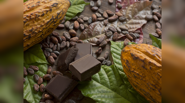No chocolate without flies
