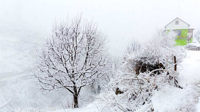 New Year to bring more snowfall to Himachal Pradesh, plan a getaway soon