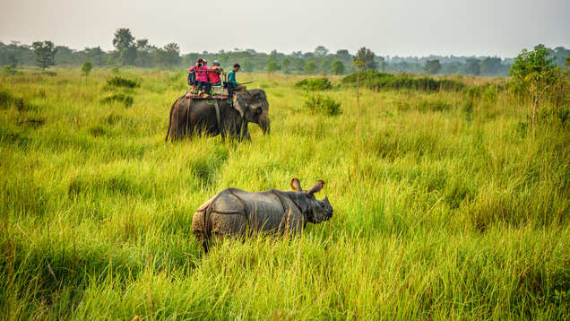 CAA stir: India&rsquo;s tourism industry hit; travel advisories issued by 7 countries