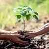 Make them learn more about the environment