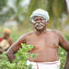 Article image for: <i class="tbold">Selvakannan</i> – Nedunalvaadai