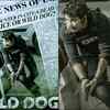 Wild Dog