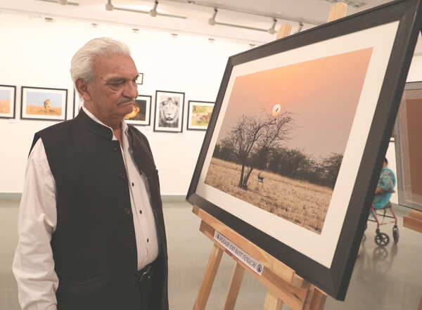 Anil Rastogi
