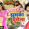 Article image for: New Bhojpuri Song: Pramod Premi and Tannu Shree's Latest Bhojpuri Gana 'Jhumka Chumela' from 'Main Super King Don Hu'