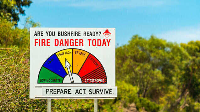 Australia bushfire: After Amazon, it&rsquo;s Kangaroo Island that&rsquo;s burning
