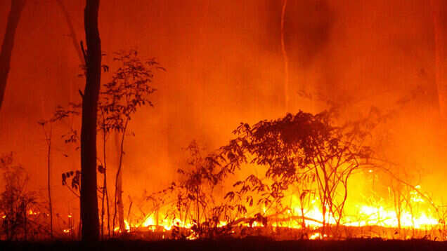Australia bushfire: After Amazon, it&rsquo;s Kangaroo Island that&rsquo;s burning