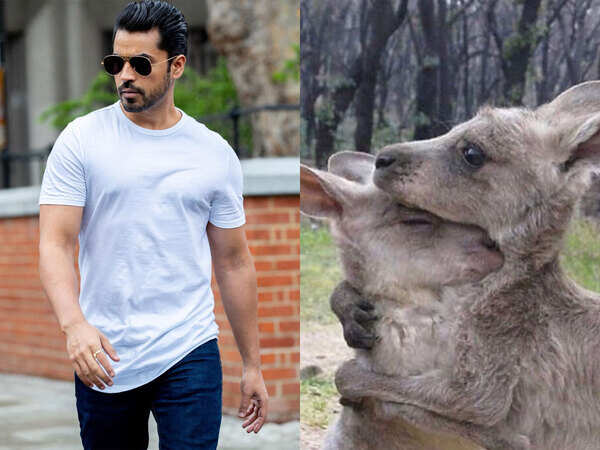 Gautam Gulati Photos