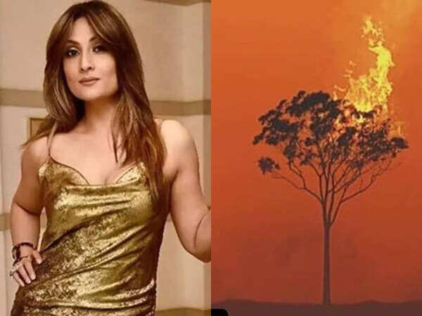 Urvashi Dholakia
