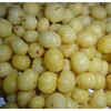 Article image for: How to use <i class="tbold">amla</i>?