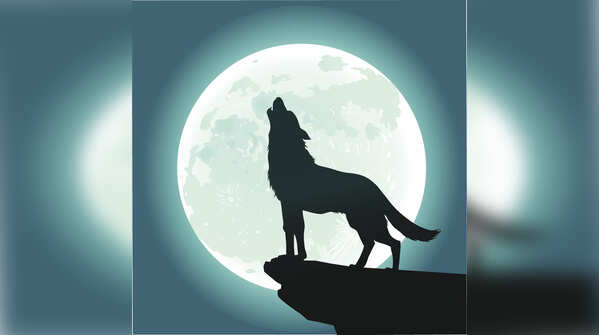 Lunar eclipse 2020: Know all about the ‘wolf moon eclipse’