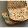 What Happens When You Eat Moldy Bread | The Times Of India