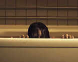 The Grudge