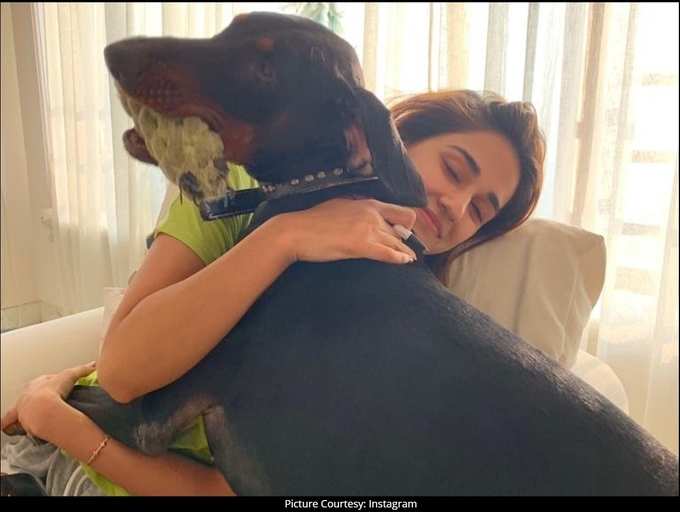 ​Disha Patani shares an adorable picture with her 'watchdog' Goku