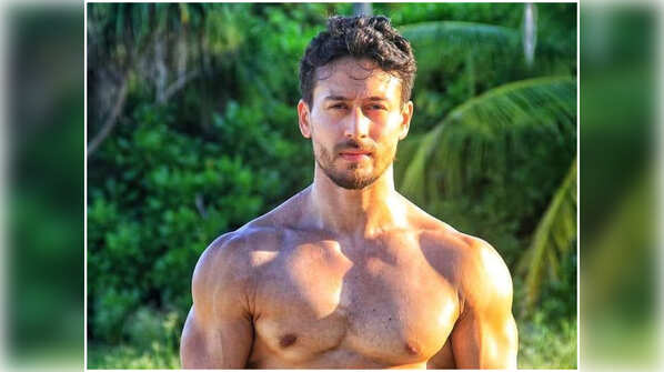 Tiger Shroff raises the temperature with his latest shirtless photo