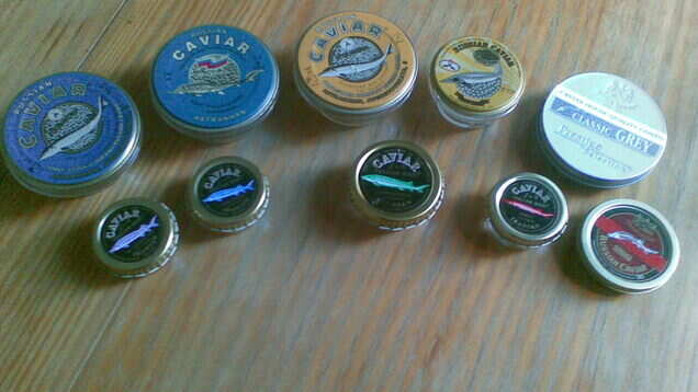 Caviar, the Russian black gold you would love to eat