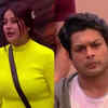 Shehnaz has realised the fan following of Sidnaaz