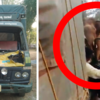 Article image for: Viral video: Angry elephant chases lorry, rips off bonnet in Karnataka