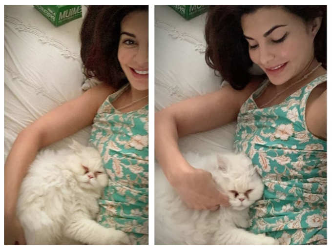 THESE pictures of Jacqueline Fernandez with her fur-ball Loki are simply adorable!