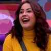 Stint in Bigg Boss