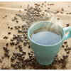 What is ‘Bat Spit Coffee’?