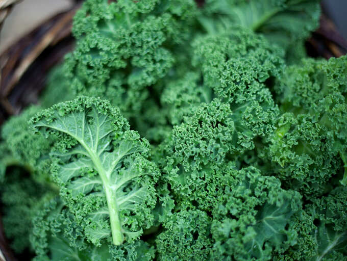 Want a long life? Eat these foods daily