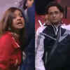 Devoleena calls Vikas a 'cheater'