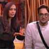 Kashmera calls Vikas 'Flipper'