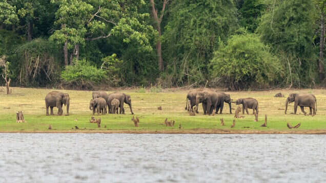 Rajnikanth shoots at Bandipur National Park in Mysore for Man Vs Wild episode