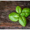 Tulsi water