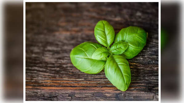 Tulsi water