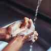 Follow basic preventive measures